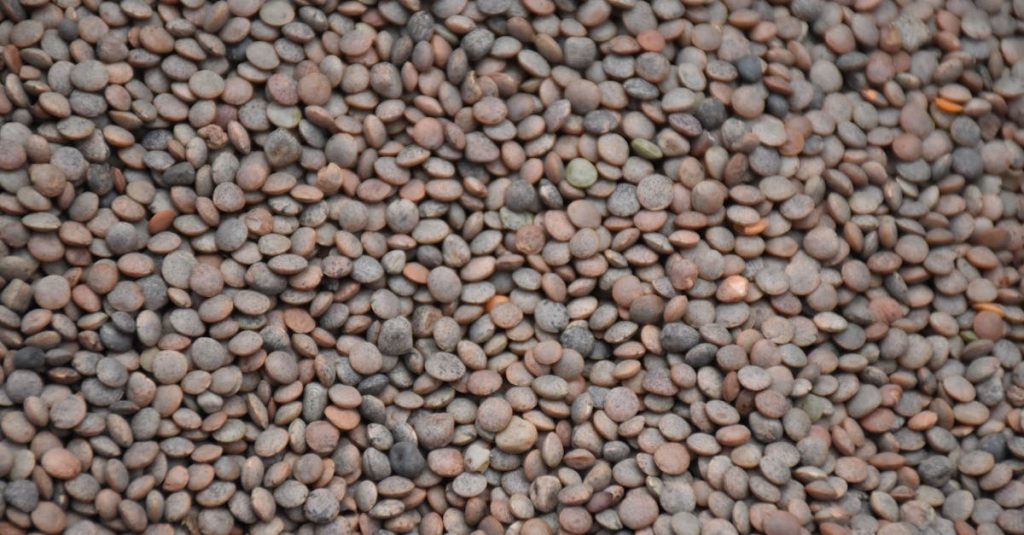 découvrez notre recette fraîche et saine de salade de lentilles, parfaite pour un repas équilibré et savoureux.