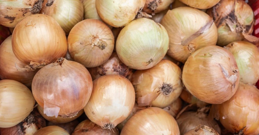 découvrez notre sélection variée de légumes frais et savoureux pour une alimentation saine et équilibrée.