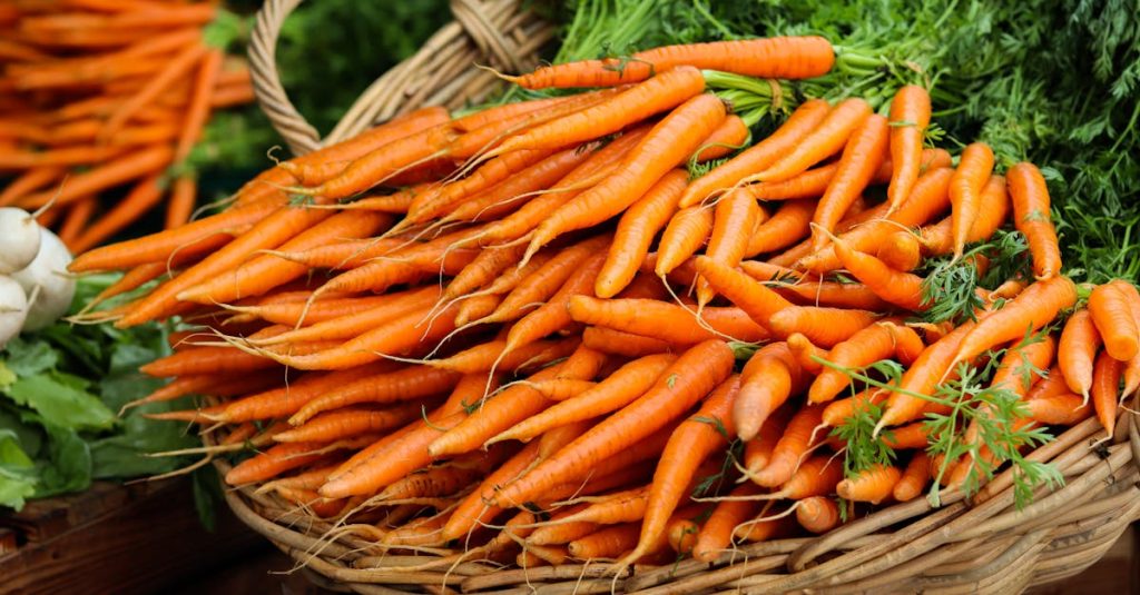 découvrez une variété de légumes frais et savoureux pour des repas sains et équilibrés.